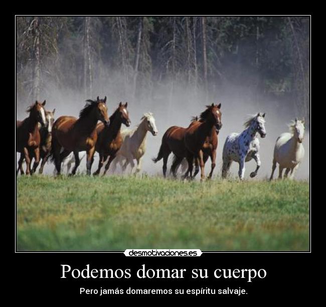 carteles  desmotivaciones