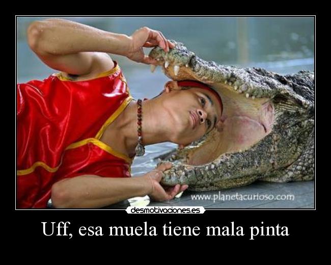Uff, esa muela tiene mala pinta - 