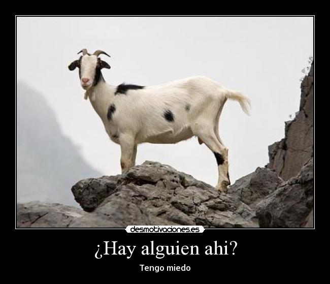 ¿Hay alguien ahi? - Tengo miedo