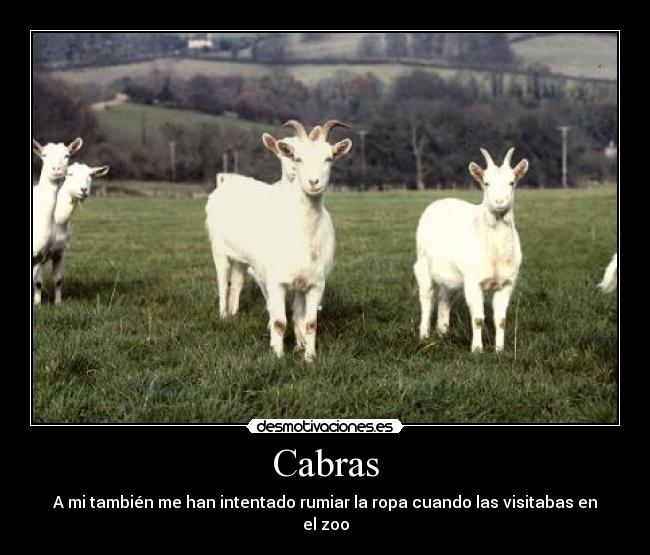 carteles octavio1991 desmotivaciones