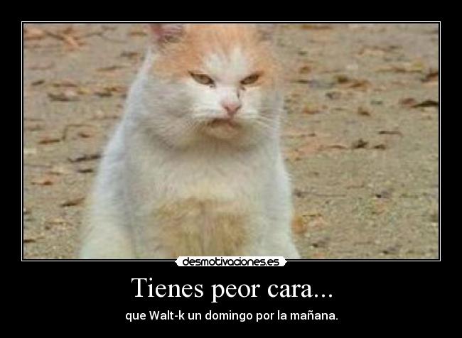 Tienes peor cara... - que Walt-k un domingo por la mañana.