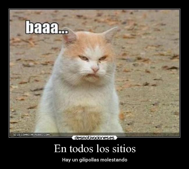 En todos los sitios - Hay un gilipollas molestando