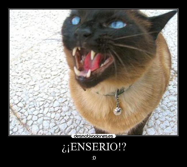 ¿¡ENSERIO!? -