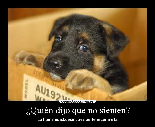 ¿Quién dijo que no sienten? - La humanidad,desmotiva pertenecer a ella