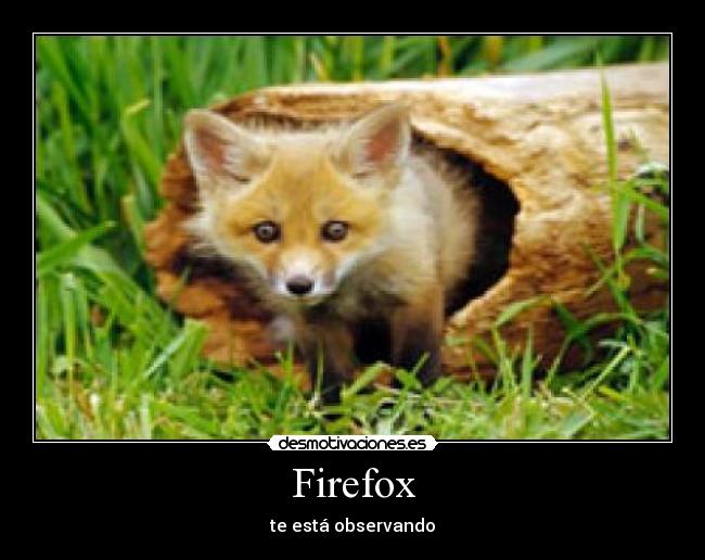 Firefox - 