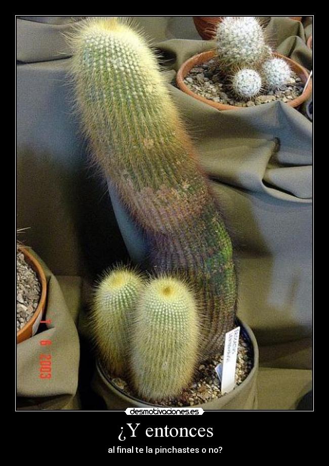 ¿Y entonces - al final te la pinchastes o no?