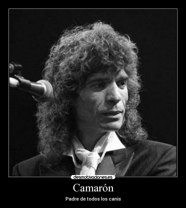 Camarón - Padre de todos los canis