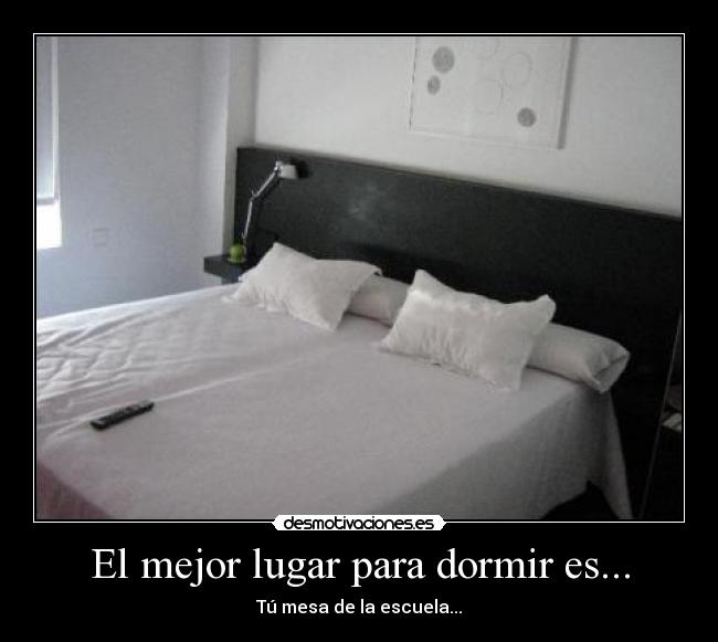 El mejor lugar para dormir es... -