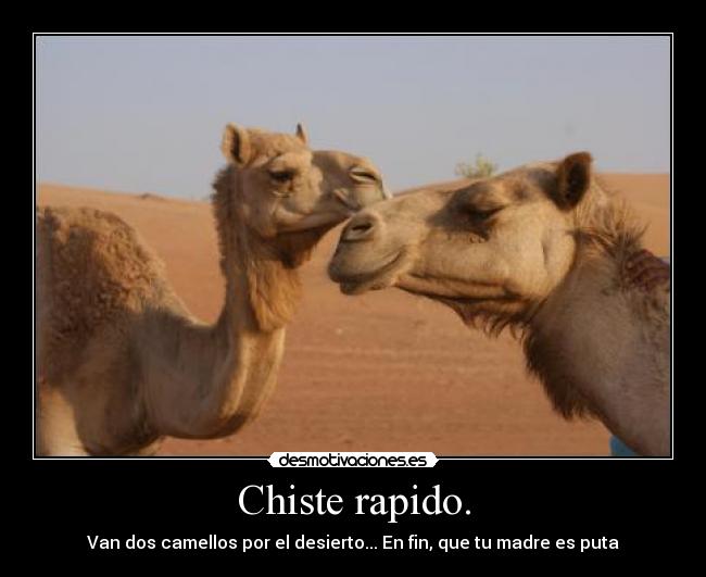 carteles chiste camellos chiste desmotivaciones