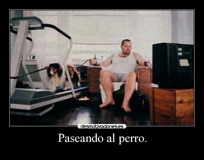 Paseando al perro. - 