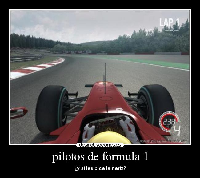 pilotos de formula 1 -
