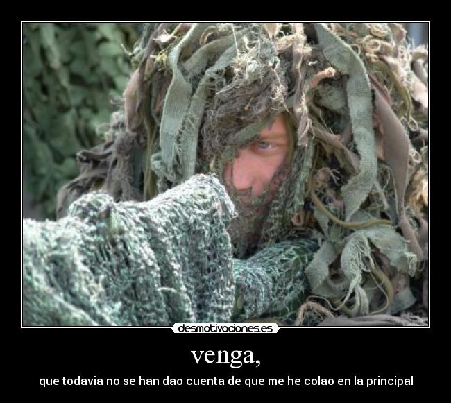 carteles camuflaje desmotivaciones