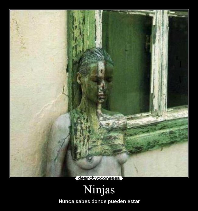 Ninjas - 
