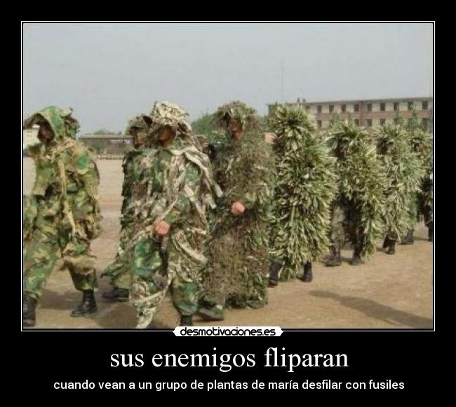 sus enemigos fliparan - cuando vean a un grupo de plantas de maría desfilar con fusiles