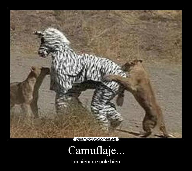 Camuflaje... - no siempre sale bien