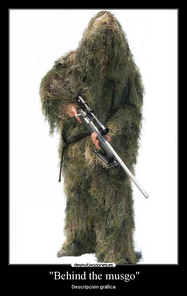 Behind the musgo - Descripción gráfica