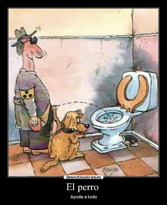 El perro  - Ayuda a todo
