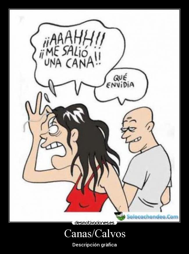 Canas/Calvos - Descripción gràfica