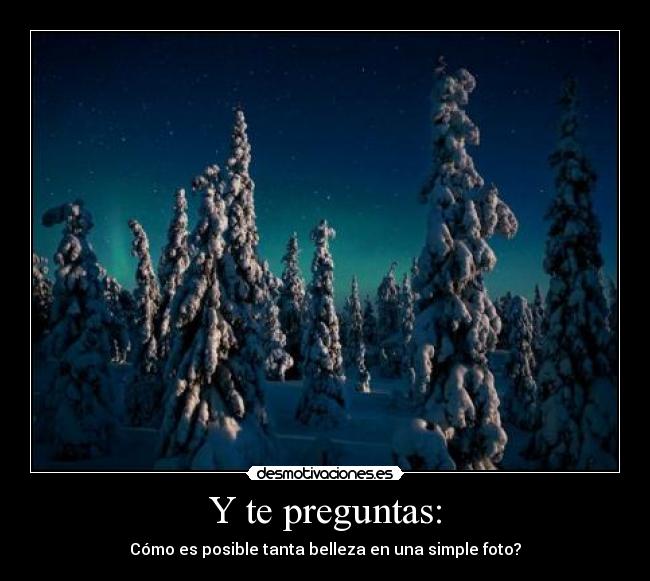 carteles naturaleza qwertyop invierno desmotivaciones