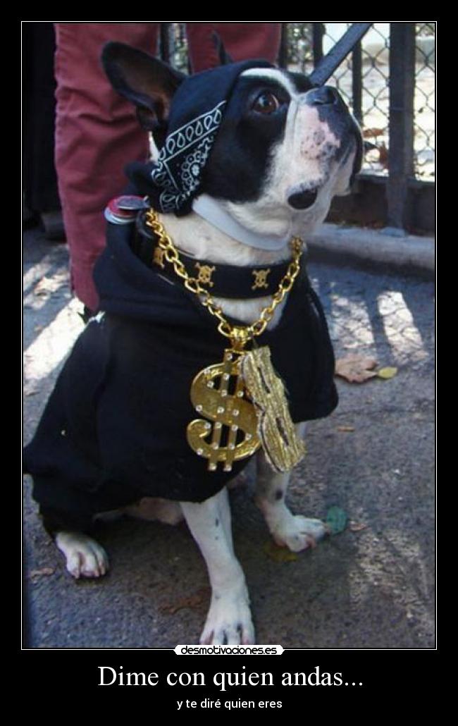 Dime con quien andas... - 
