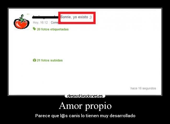 Amor propio - Parece que l@s canis lo tienen muy desarrollado