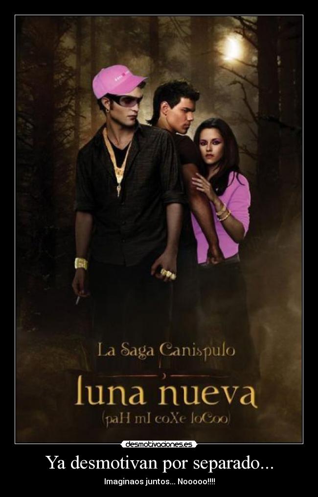 carteles canispulo desmotivaciones