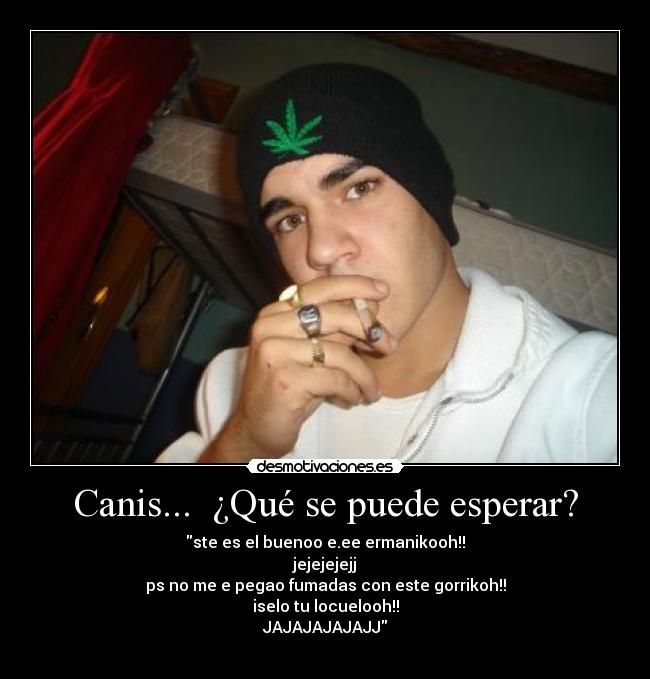 Canis...  ¿Qué se puede esperar? - 