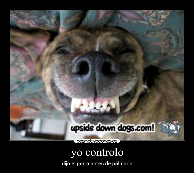 yo controlo - 