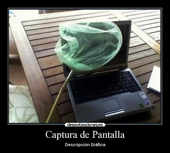 Captura de Pantalla -
