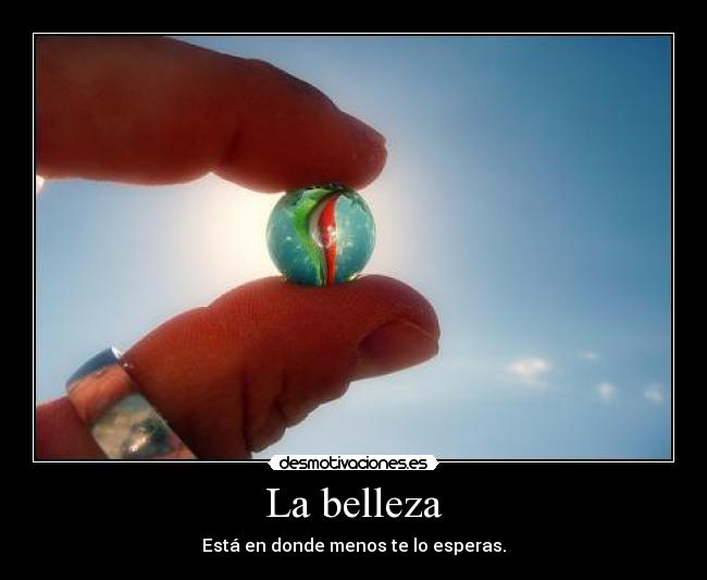 La belleza - Está en donde menos te lo esperas.