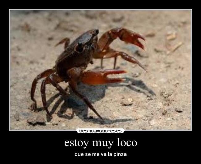 estoy muy loco - que se me va la pinza