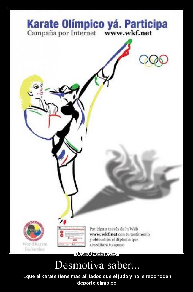 carteles karate olimpico desmotivaciones