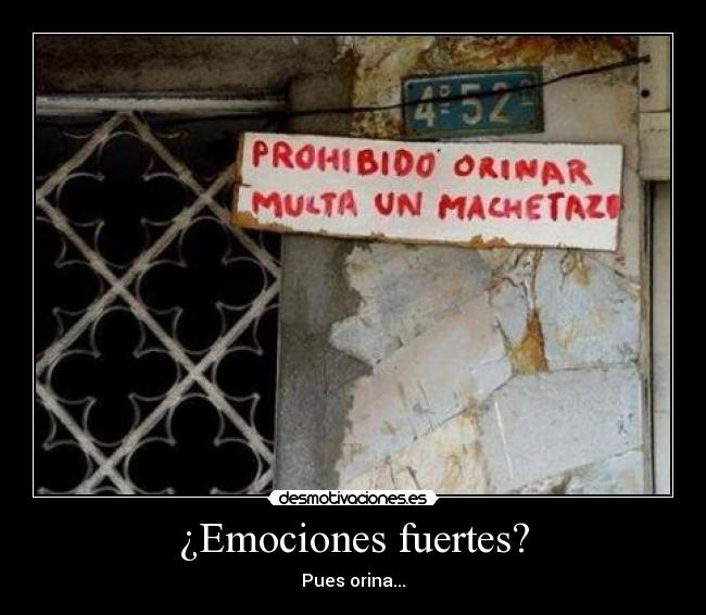 ¿Emociones fuertes? - 