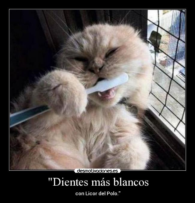 Dientes más blancos - con Licor del Polo.