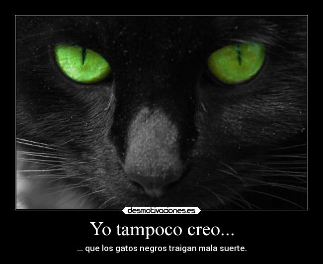 Yo tampoco creo... -