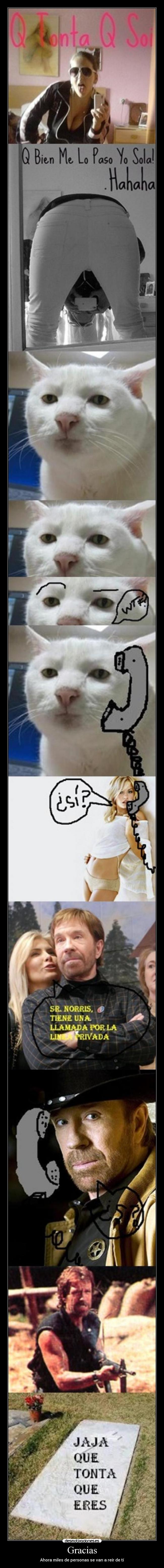 Gracias - Ahora miles de personas se van a reír de tí