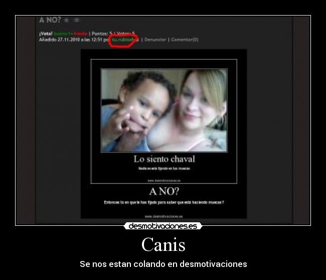 Canis - Se nos estan colando en desmotivaciones