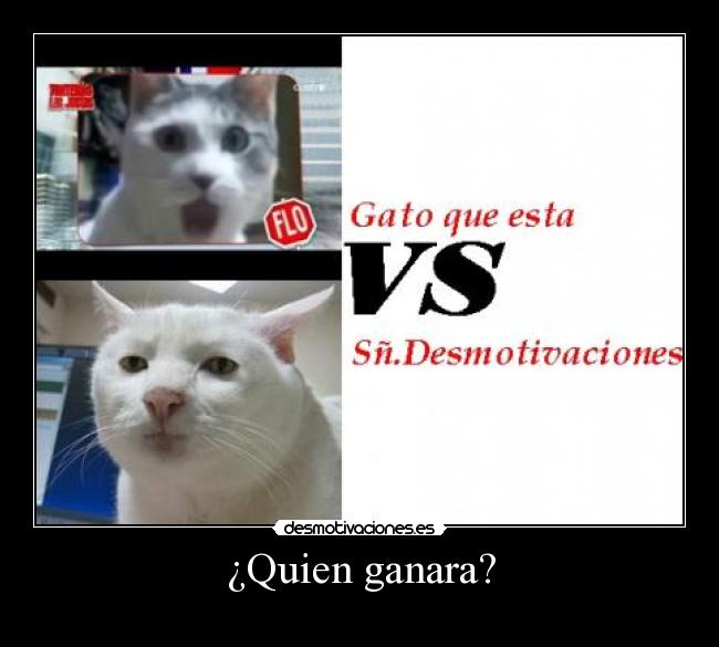¿Quien ganara? -