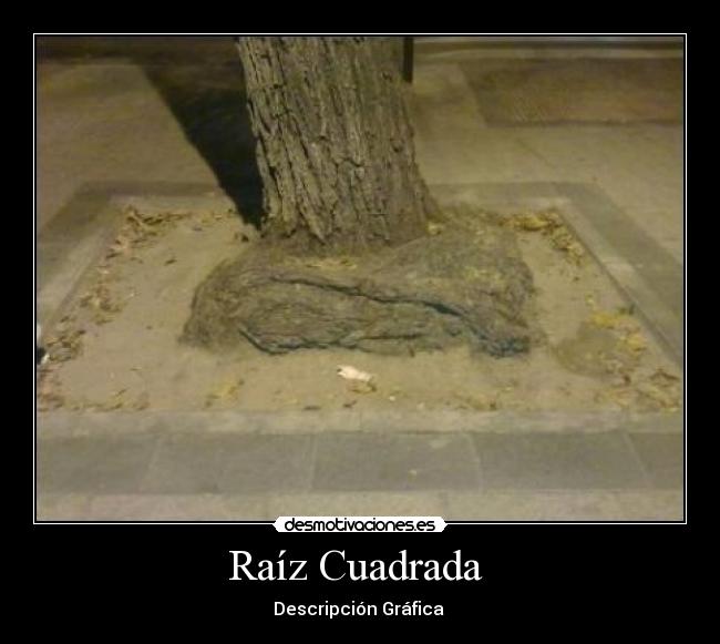 Raíz Cuadrada  - Descripción Gráfica 