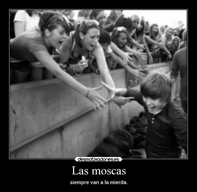 Las moscas -