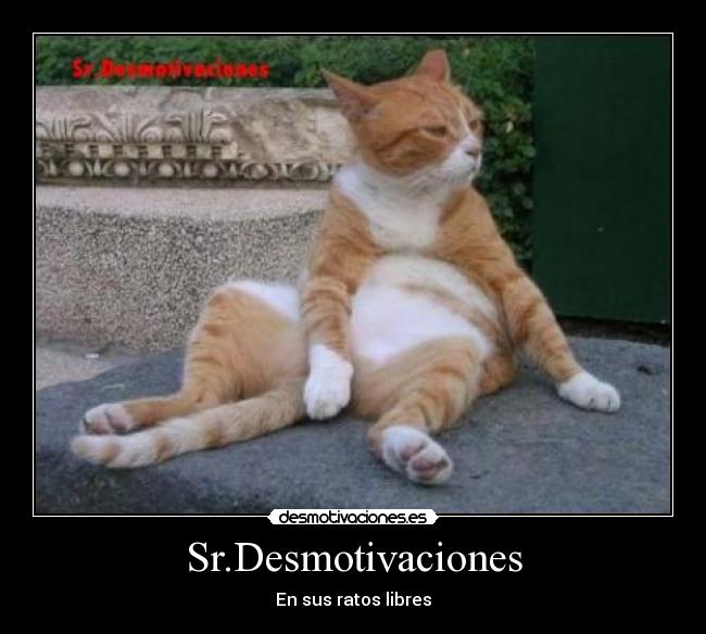 Sr.Desmotivaciones - En sus ratos libres