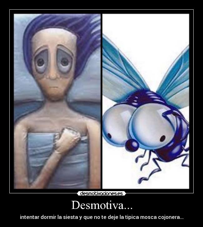 Desmotiva... - intentar dormir la siesta y que no te deje la tipica mosca cojonera...