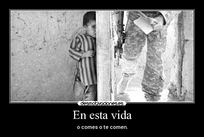 En esta vida - o comes o te comen.