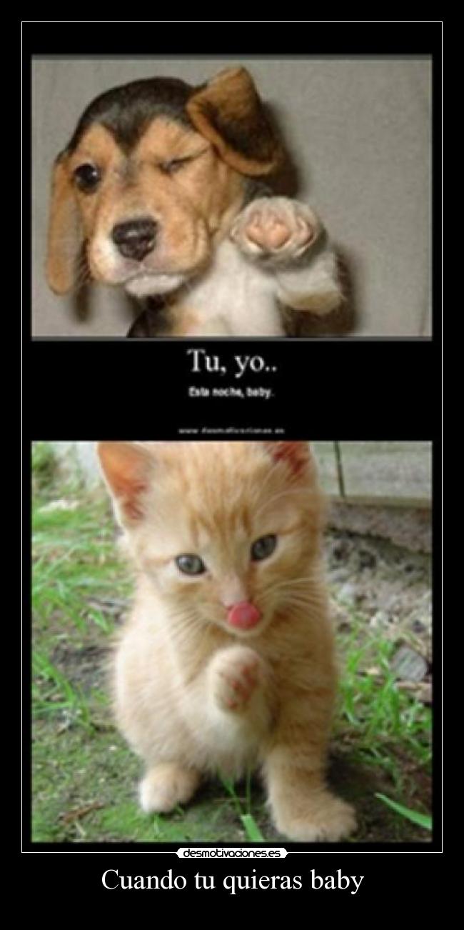 carteles enana23 desmotivaciones