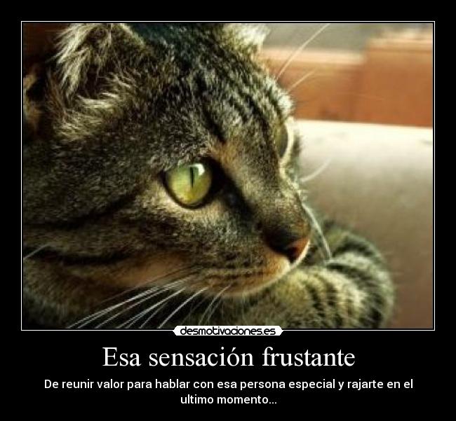 Esa sensación frustante -