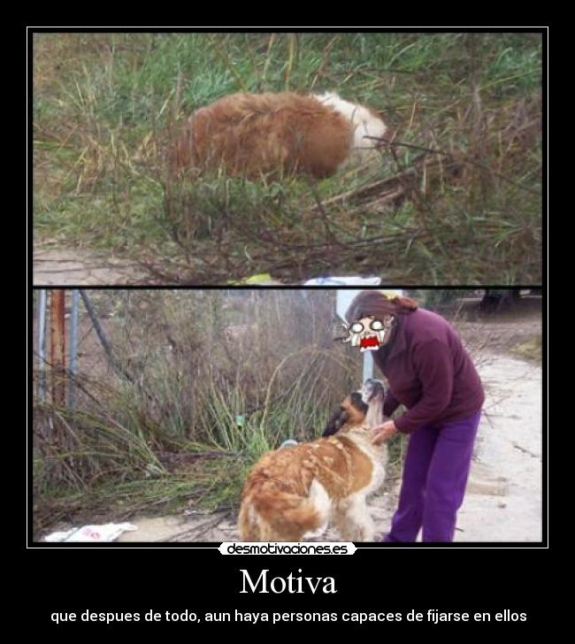 Motiva - 