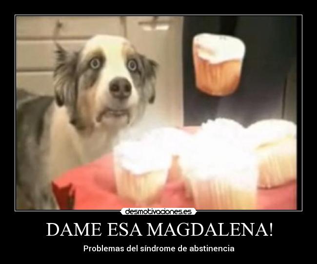 DAME ESA MAGDALENA! -