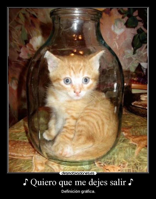 ♪ Quiero que me dejes salir ♪ - Definición gráfica.