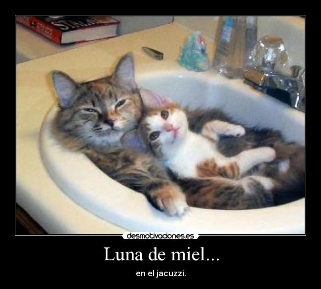 Luna de miel... - en el jacuzzi.