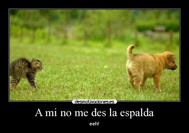 A mi no me des la espalda -